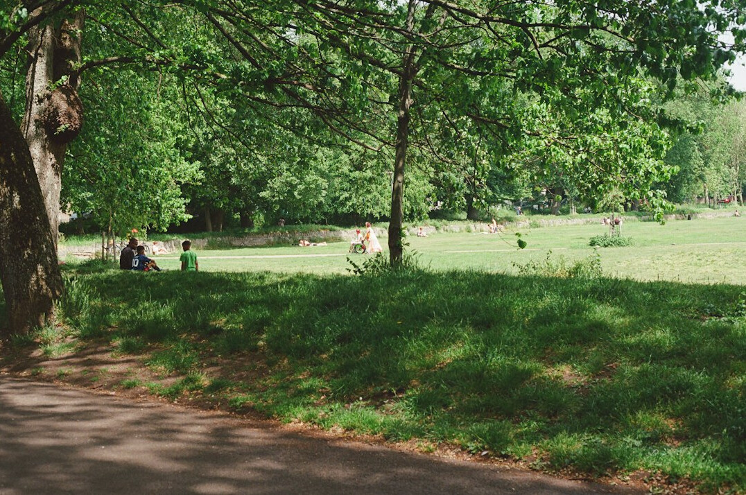 Neighborhood park with families and trees on a sunny afternoon